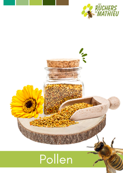 Pollen frais :