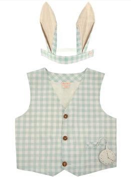 Dress Up Gingham Bunny (NEU)