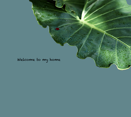 商品名 1６welcome壁紙