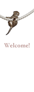 商品名　①welcome壁紙