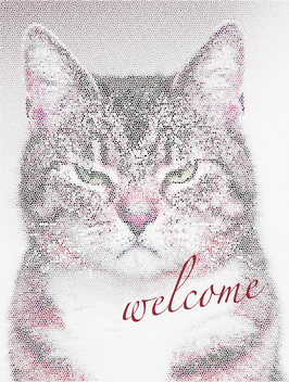 商品名　④welcome壁紙