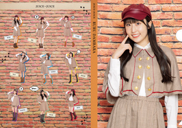MEMBER CLEAR FILE
