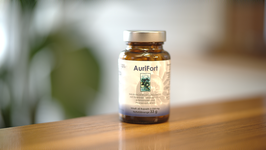 AuriFort