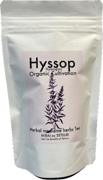Hyssop tea