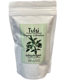 Tulsi tea