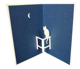 Chat dans la lune