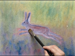 Hase