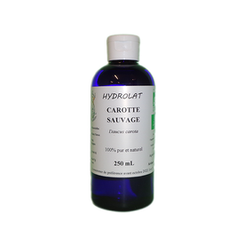 Carotte sauvage - Karotte 250 ml