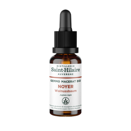 Noyer / Walnussbaum - Macérat glycériné 30 ml