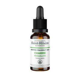 Charme / Hagebuche - Macérat glycériné 30 ml