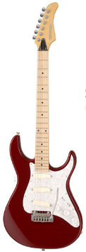 FERNANDES DELUXE David Gilmour