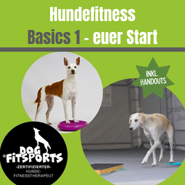 Webinar Hundefitness Basics 1 *Aufzeichnung*
