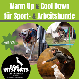 Webinar Warm Up & Cool Down für Sport- & Arbeitshunde