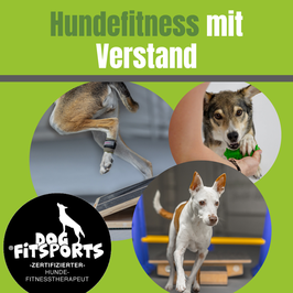 *Live* Webinar Hundefitness mit Verstand am 02.09.2026 19 Uhr
