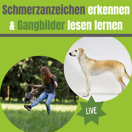 *Live* Webinar Schmerzanzeichen erkennen & Gangbilder lesen lernen 07.08.2026 18 Uhr