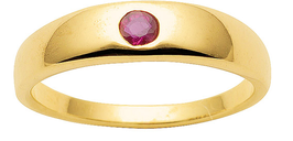 Neuhoff | Anhänger | Gelbgold | 333/- Gold | Rubin | AN 01280