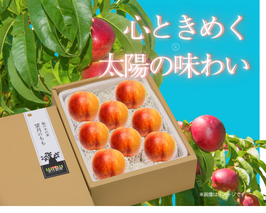 M007　ネクタリン