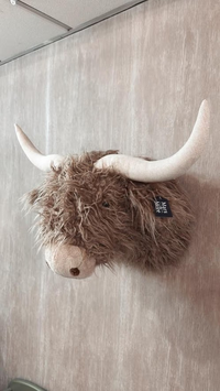Schotse hooglander wandkop bruin 40cm