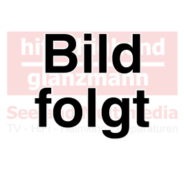 Rowen A10 LMT.2 ab Revision