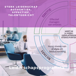 Leiderschapsprogramma