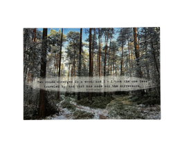 Postkarte "Two Roads"