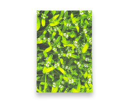 Grußkarte - "Feldsalat | Rapunzeln"