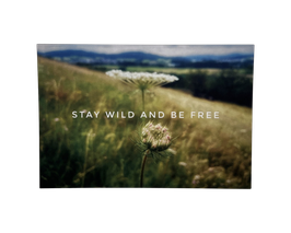 Postkarte "Wilde Möhre - Stay wild and be free"