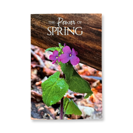 Grußkarte - "Silberblatt - The Power of Spring"