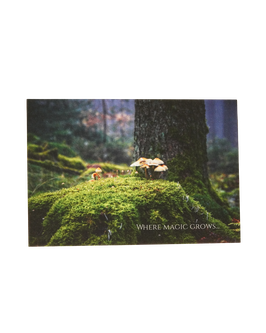 Grußkarte - "Where magic grows"