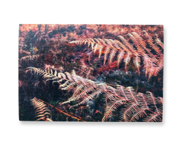 Grußkarte - Herbst-Farn