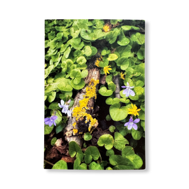 Grußkarte - "Frühlingsboden"