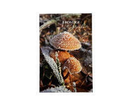 Postkarte "Frostige Grüße"