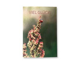 Grußkarte - Marienkäfer auf Ampfer-Blüte "Viel Glück"