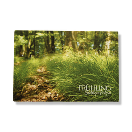 Grußkarte - "Frühling - Einblütiges Perlgras"