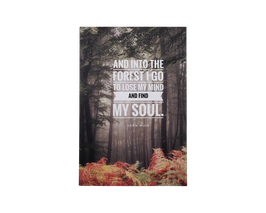 Postkarte "Into the forest"
