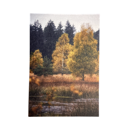 Grußkarte - "Birken im Herbst I"