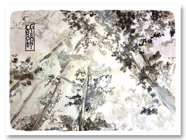 CARTE LE GRAND SOUS BOIS