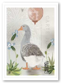 CARTE OIE OIE