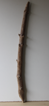Treibholz Schwemmholz Driftwood  1 XXL  Ast  131 cm  (Ä1434)