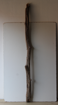 Treibholz Schwemmholz Driftwood 1 MEGA  Ast  186  cm (Ä1431)