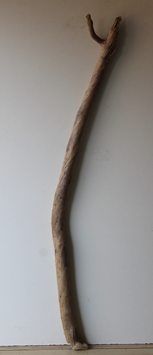Treibholz Schwemmholz Driftwood 1 MEGA Ast  140  cm (Ä1428)