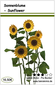 Sonnenblume - Sunflower