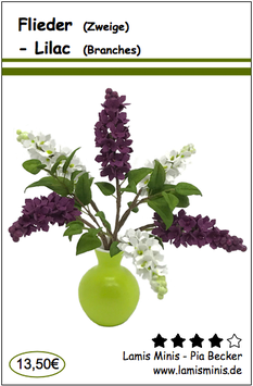 Flieder - Lilac