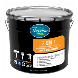 Peinture THEODORE PRO G 2 en 1