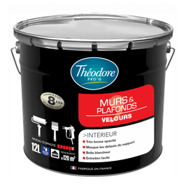 Peinture Murs et Plafonds Velours THEODORE PRO G