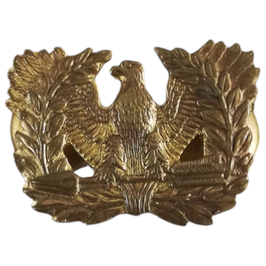 US Army - Warranty Officer Insignia