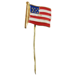 USA - bevrijdingspin