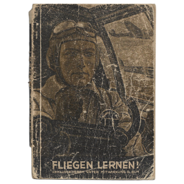 Fliegen lernen
