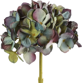 Hortensia  H 47 cm.
