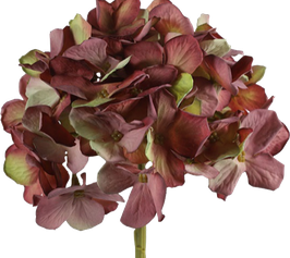 Hortensia  H 47 cm.